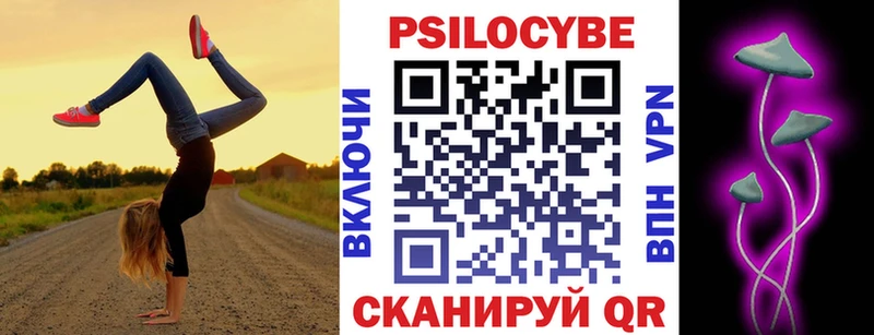 магазин продажи   Теберда  Псилоцибиновые грибы GOLDEN TEACHER 